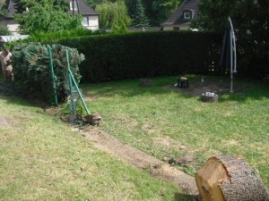 Baumsägearbeiten (17).JPG